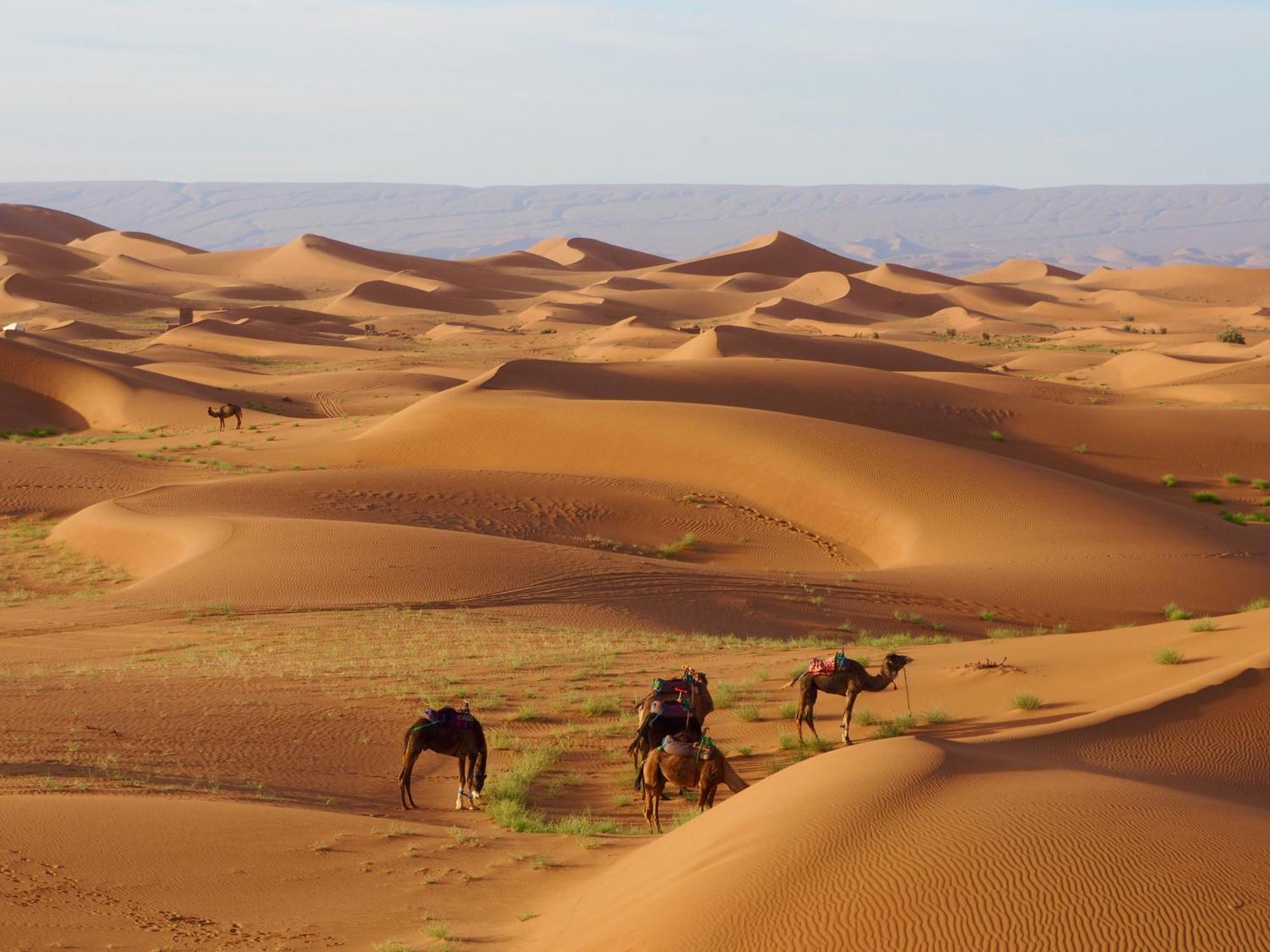 Desert Bivouac Mhamid Luaran gambar