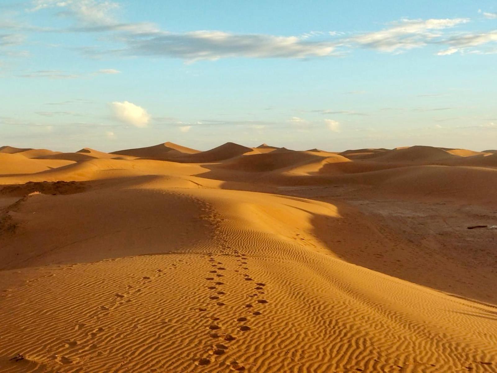 Desert Bivouac Mhamid Luaran gambar